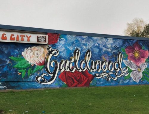 Must See Murals of Scarborough