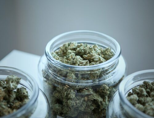 Top Hybrid Strains To Try In 2021!