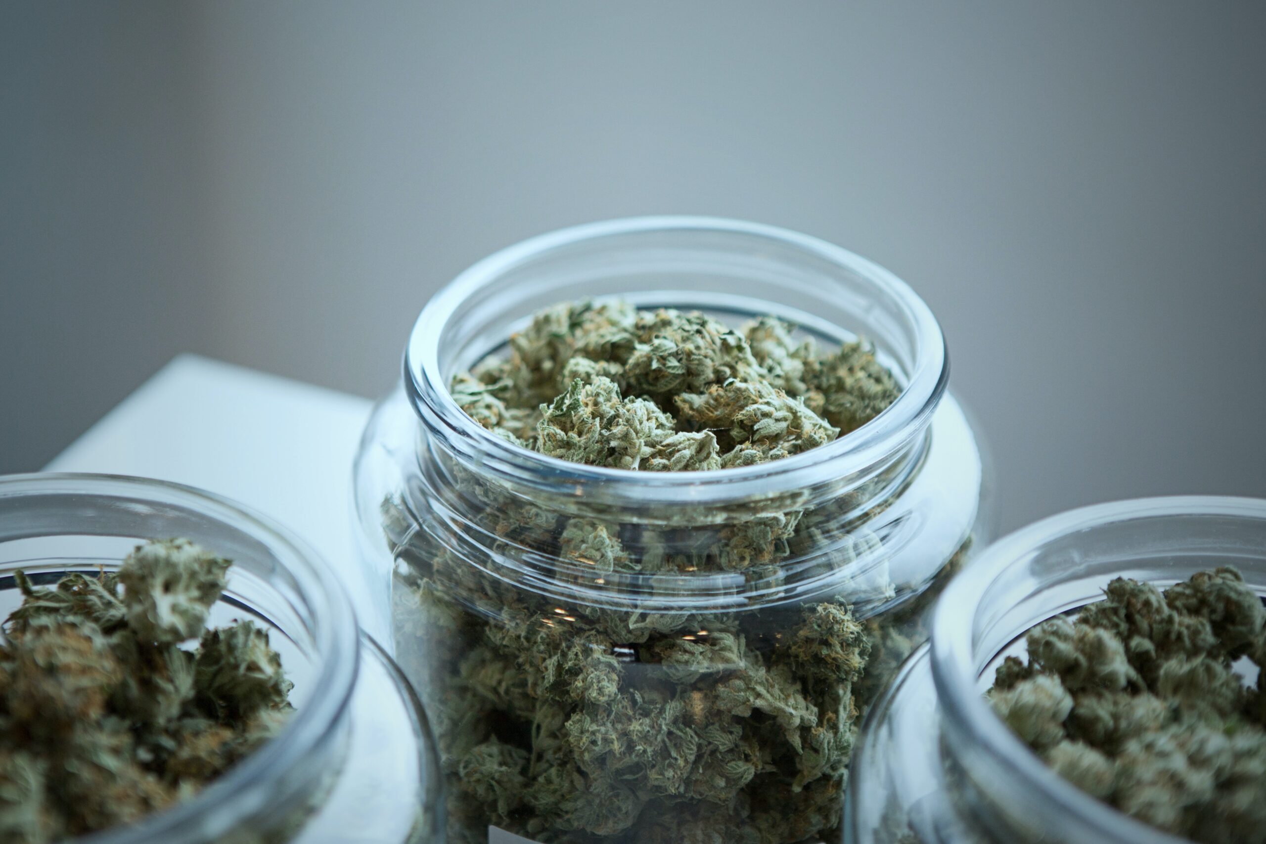 Top-Hybrid-Strains