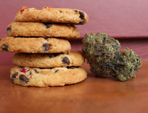 Cooking with Cannabis: A Guide for Making Edibles at Home