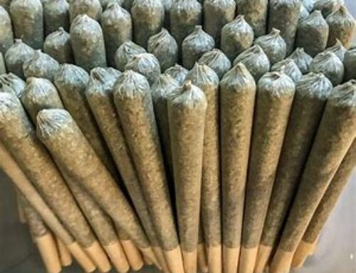 The benefits and drawbacks of infused pre-rolls