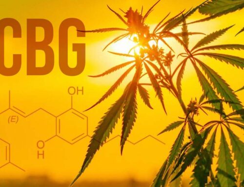 Unlocking the Benefits of CBG