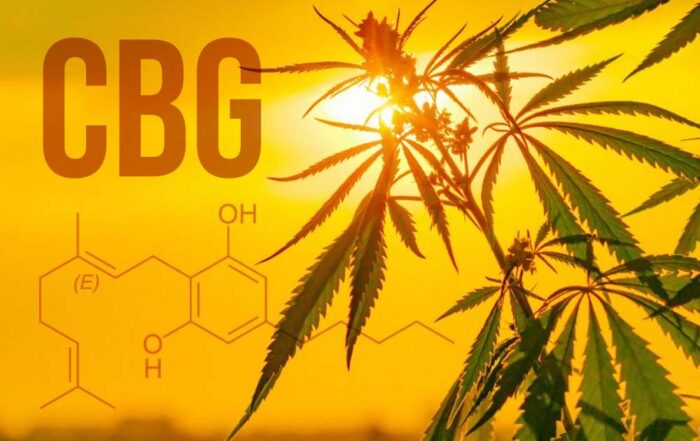 Unlocking the Benefits of CBG: CBG cannabinoid from cannabis or hemp